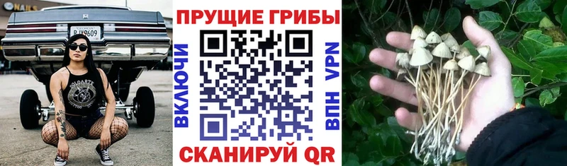 Галлюциногенные грибы мухоморы  Купить закладки  Черемхово 